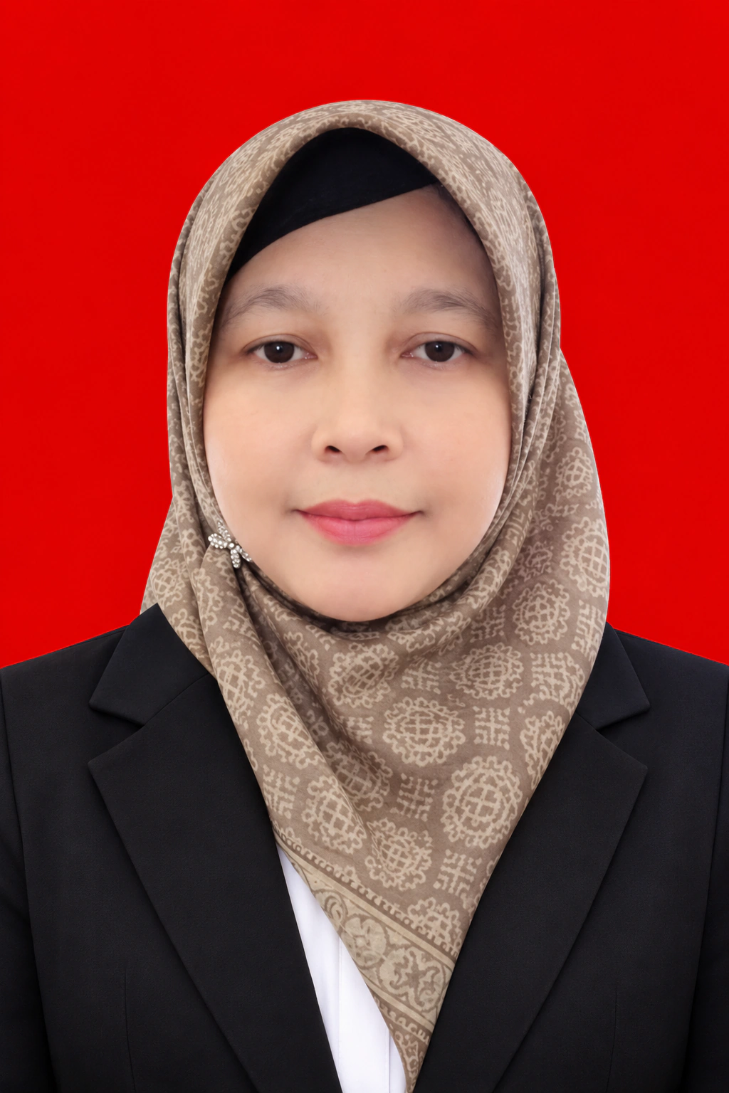 ERNI ROUZA, ST, M.Kom